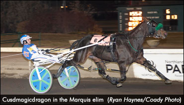 Cusdmagicdragon Wins Open Debut