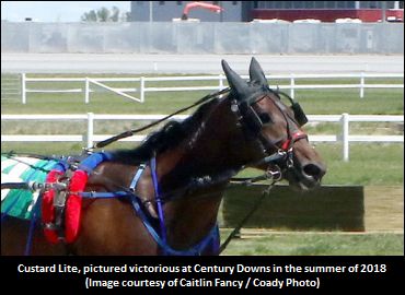 Custard Lite Cuts The Mustard