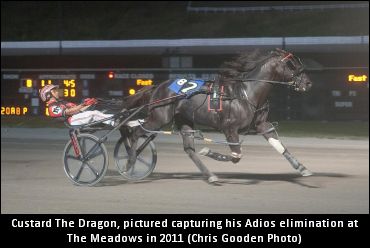 World Champion To Alberta