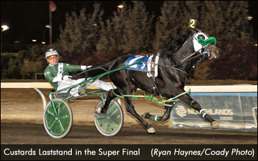 Sires Stakes Showdown In Alberta