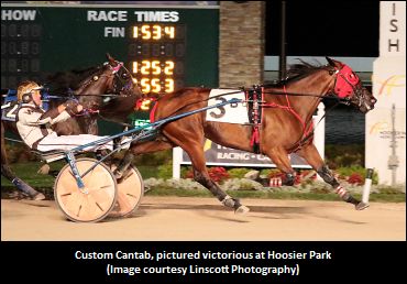 Shrewd Purchase Has Been An ATM