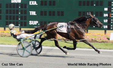 Cuz She Can Again At Chester