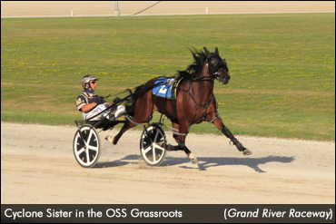 Top Grassroots Fillies Sharp In Elora