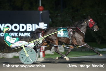 Repeat Winners In Harvest Series Repeat Winners In Harvest Series