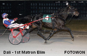 Matron Elims To Dali & Blueridge Western