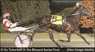 WEG Series Titles To 'Tinkerbell' & 'Princess'