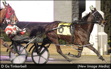 'Damsel' Winners Take New Marks