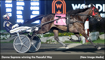 Donna Soprano Superb In Peaceful Way