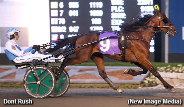 Golden Sweep For Christoforou