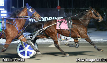 Double A Mint Repeats; Boyd Triples