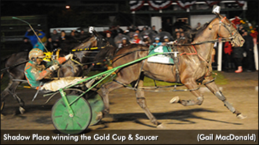 Shadow Place Takes 58th Gold Cup & Saucer