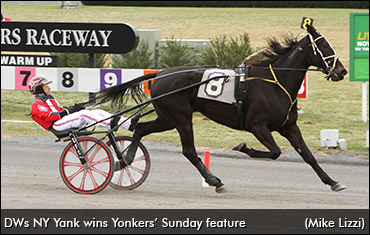 Yonkers French Export Concludes