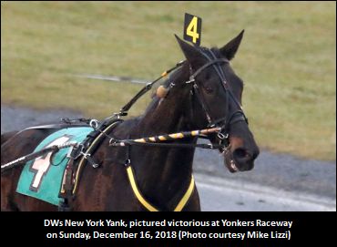 DWs NY Yank Wires Up Yonkers Foes