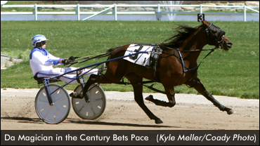 Favourites Dominate In Century Bets