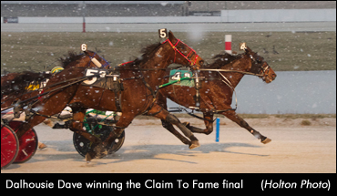 Dalhousie Dave Takes Series Title