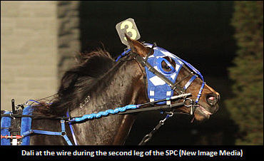 Allard Comments On Dali 