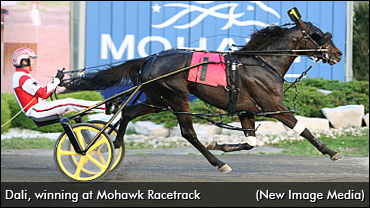 New Owner, Home For Dali