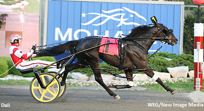 VIP Stable Buys Into Dali 