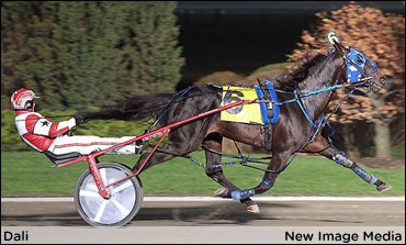 Dali Equals Stakes Mark In Spring Pacing Championship 