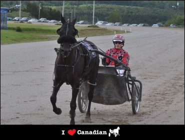 MacLellan Named 2017 Harness Racing Ambassador