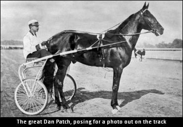 Call To Honour Dan Patch