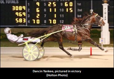 Dancin Yankee Retired, To Stud