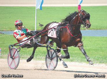 Dancin Yankee Fastest In Ohio Sires Stakes 