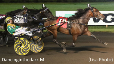 Hambo Hopeful Impresses At Big M