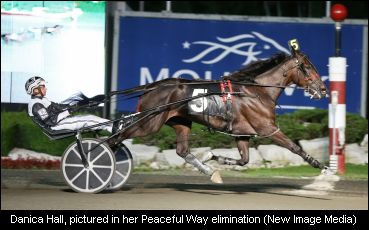 McIntosh High On Peaceful Way Starter