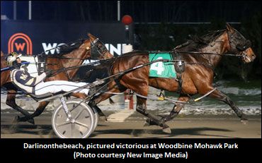 Darlinonthebeach Desirable At Harrisburg