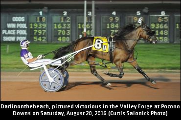 ‘Darlin’s Time Is Now