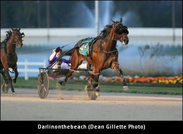 Unfinished Family Business