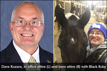 Training Horses And Gymnasts