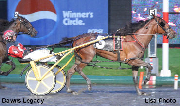 Miss New Jersey Field Set