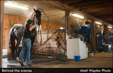 Experience A Day In The Life Of A Trainer