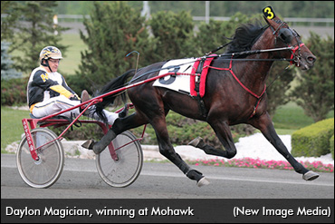 Daylon Magician Returns To Stud