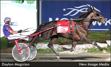 Daylon Magician Sets CBC Stakes Record