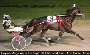 More Gold For Daylon Magician 