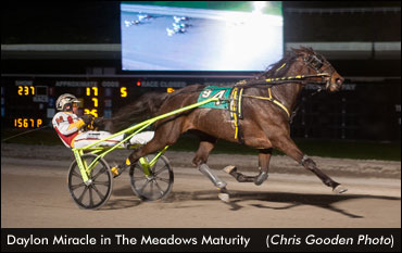 Daylon Miracle Takes Meadows Maturity