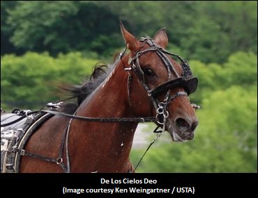 Burke On De Los Cielos Deo Qualifier