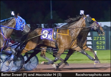 Macraider N, Bettor Sweet Battle To A World Record Dead Heat Macraider N, Bettor Sweet Battle To A World Record Dead Heat