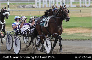 Has Owner Been 'Dealt' A Triple Crown?