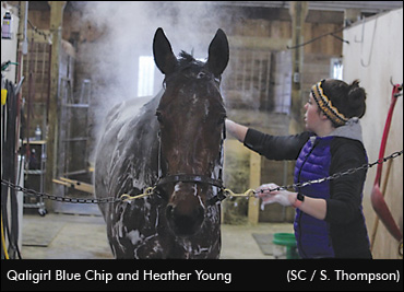 December's Calendar Photographer