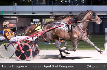 Dedis Dragon Prevails At Pompano