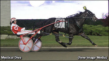 Mystical Diva Tops Select Mixed Sale