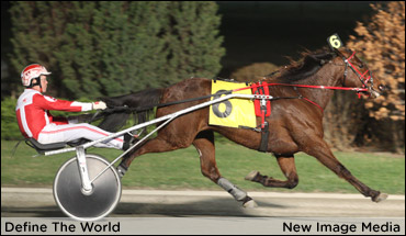 Bax In Tough With Busy Trotter