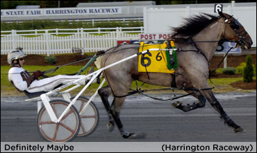 Definitely Maybe The Fairest Of Them All