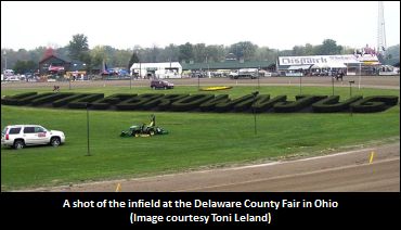 2020 Little Brown Jug Attracts 14
