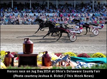 Could The Little Brown Jug Move?