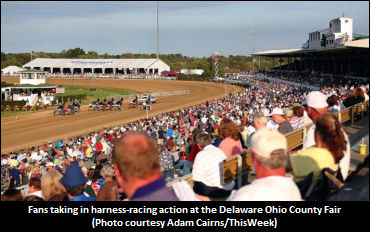 Purse Increase For The Jug
